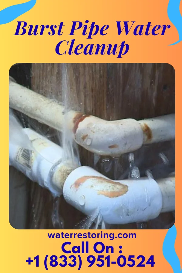 Burst Pipe Water Cleanup in Ione, OR