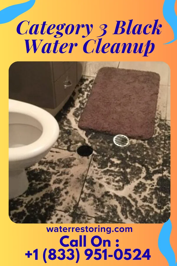Category 3 Black Water Cleanup in Ione, OR