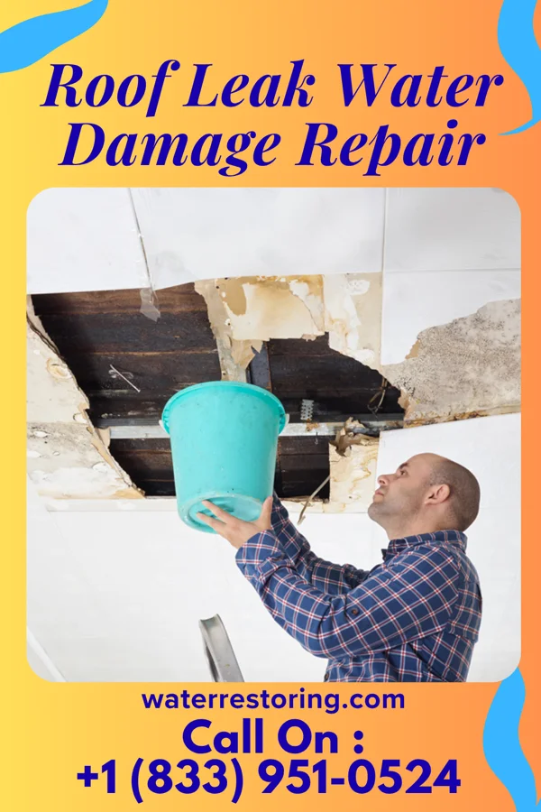 Roof Leak Water Damage Repair in Ione, OR